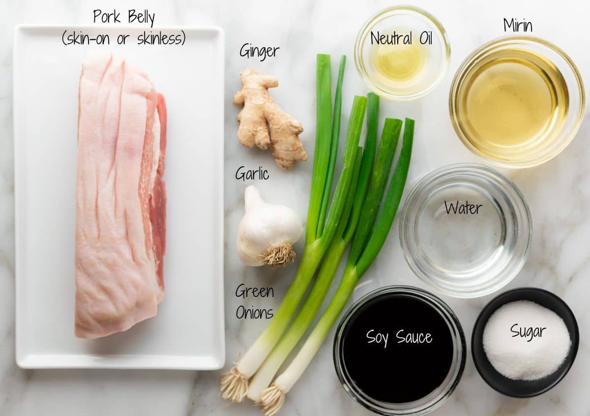 Chashu Pork Ingredients on a white marble board