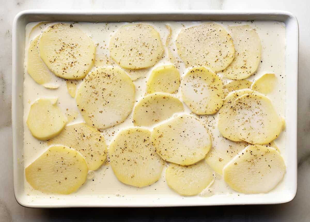 Gratin Dauphinois ready to bake