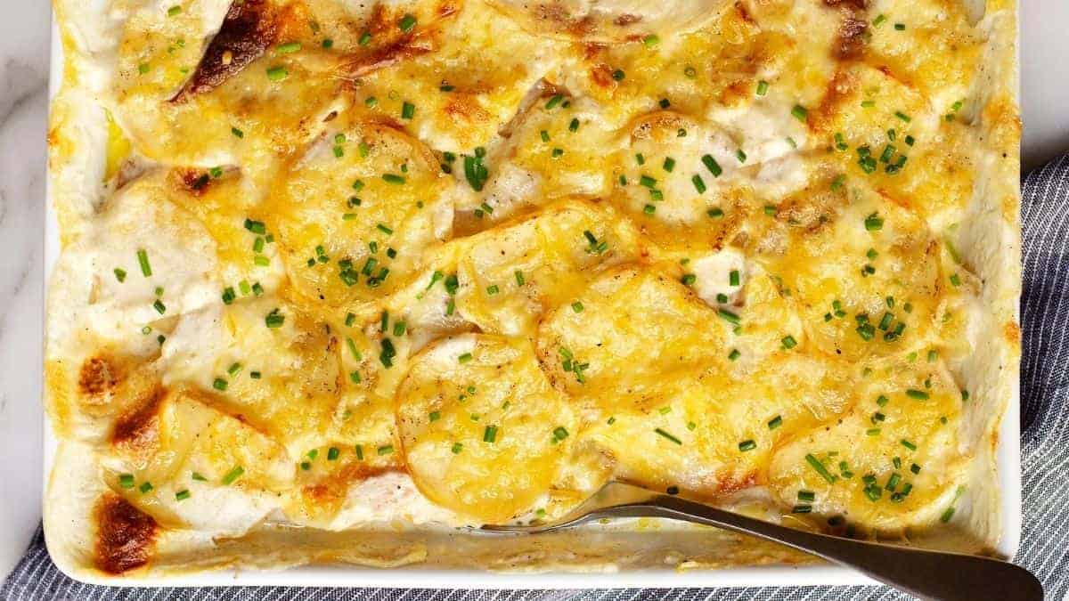 Gratin Dauphinois ready to serve