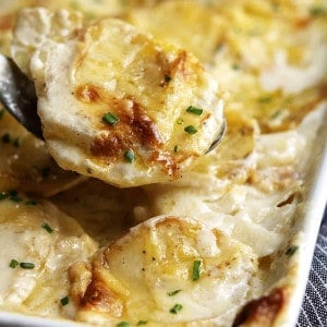 serving Gratin Dauphinois with a large spoon