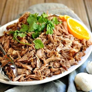 Plate of shredded pork carnitas ready to serve.